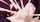 hentai black hair creampie