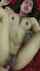 india missonary blowjob