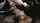 ebony interracial cumshots