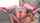 camgirl pussy ass