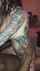 tattoo bbc interracial
