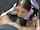 school girl bacl cock face fuck