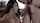 blowjob brunette forced