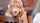 interracial bbc blonde