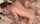 blonde missionary sex