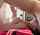 amateur blowjob brunette