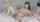 chaturbate dildo camgirl