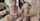 camgirl swinger amateur