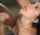 camgirl blowjob latina