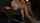 asian japanese jav
