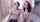 couple camgirl webcamcouple