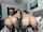 onlyfan amature camgirl