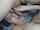 amateur blowjob brunette