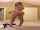 spanking ass blonde