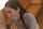 asian big tits blowjob