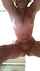 camgirl onlyfans nude