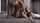 lesbian strap on girl on girl