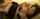 jav asian beauty