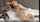 ads teen camgirl