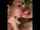 amateur lesbian kissing