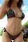 amateur blowjob brunette