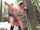 teen outdoor jav