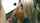 blonde blowjob handjob