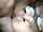 midwest freaks milf cougar