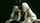 double penetration blonde french