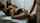 amateur blowjob brunette