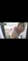 camgirl balcony milf