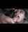 asian facial blowjob