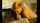 creampie interracial cuckold