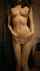 undress panties nude