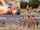 spread cream blonde naked people