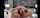 blacked blowjob cum swallow