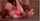 amateur blowjob brunette