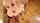 blonde blowjob deep throat