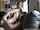 stepdaughter molested cuckoldcaptions