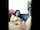 amateur masturbation solo