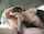 brunette blowjob big dick