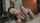 blowjob brunette cim