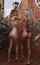 girls bathing suits topless