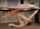 tattoo table blowjob
