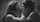 blackandwhite lick hot