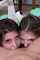lesbian threesome braces