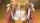 hentai sex from behind