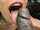 blowjob handjob cuminmouth