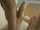 bbc interracial white girl