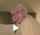blonde sex teen
